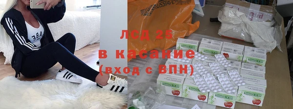 СК Новозыбков