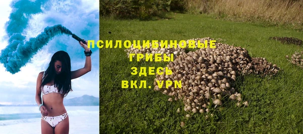 СК Новозыбков