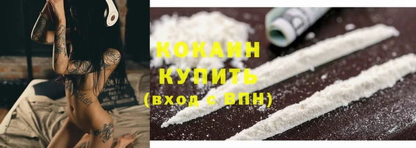 СК Новозыбков
