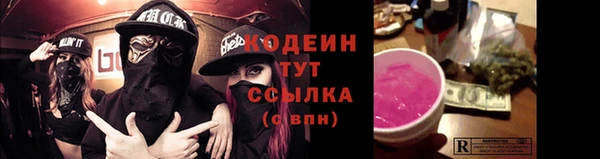 СК Новозыбков