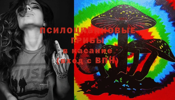 СК Новозыбков