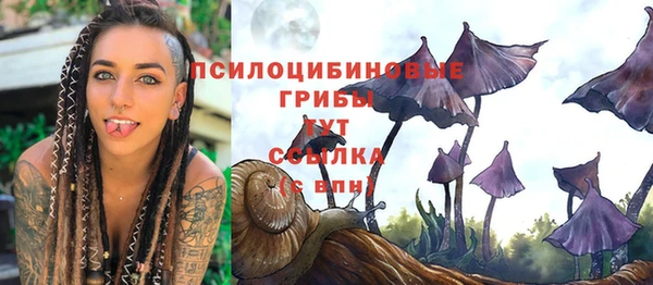 МДПВ Новокубанск