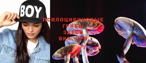 МДПВ Новокубанск