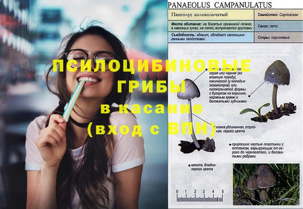 2c-b Новодвинск